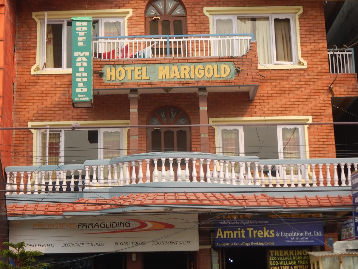 Hotel Marigold 博卡拉 外观 照片