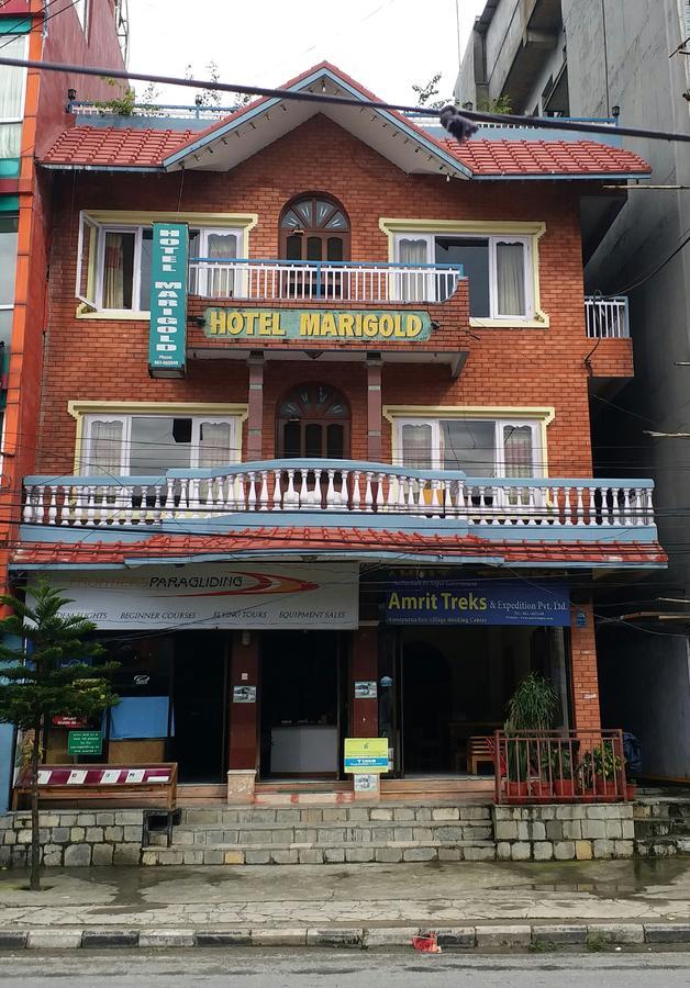 Hotel Marigold 博卡拉 外观 照片